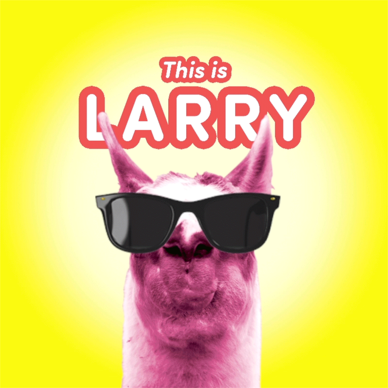 Larry llama gif