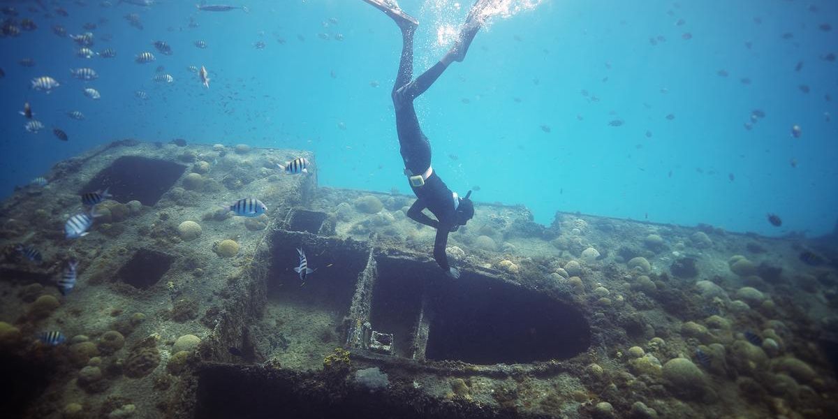 Scuba Diving at Carlisle Bay