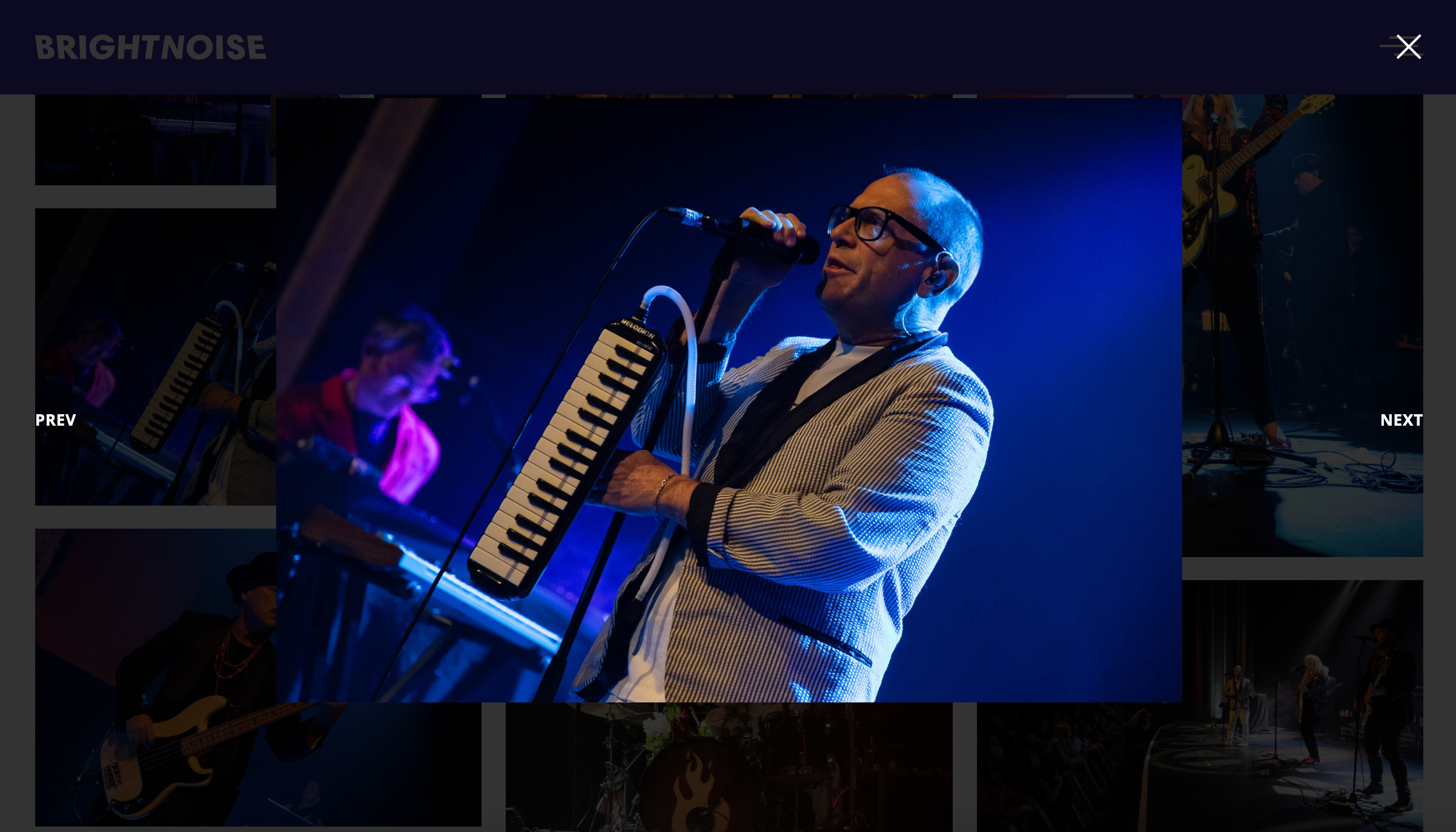 Photo gallery carousel on a music website.