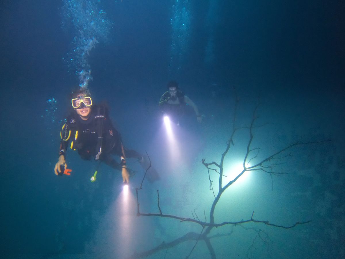 Cenote Angelita & Car Wash — 2 Inmersiones