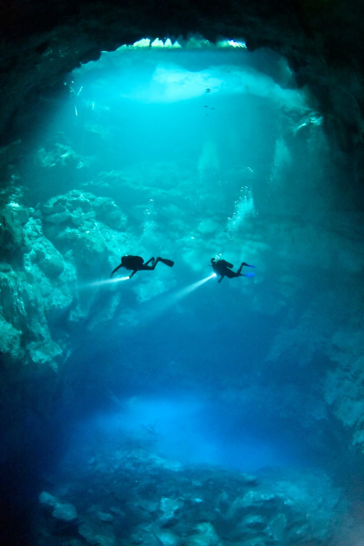 Cenote Dos Ojos — 2 Inmersiones