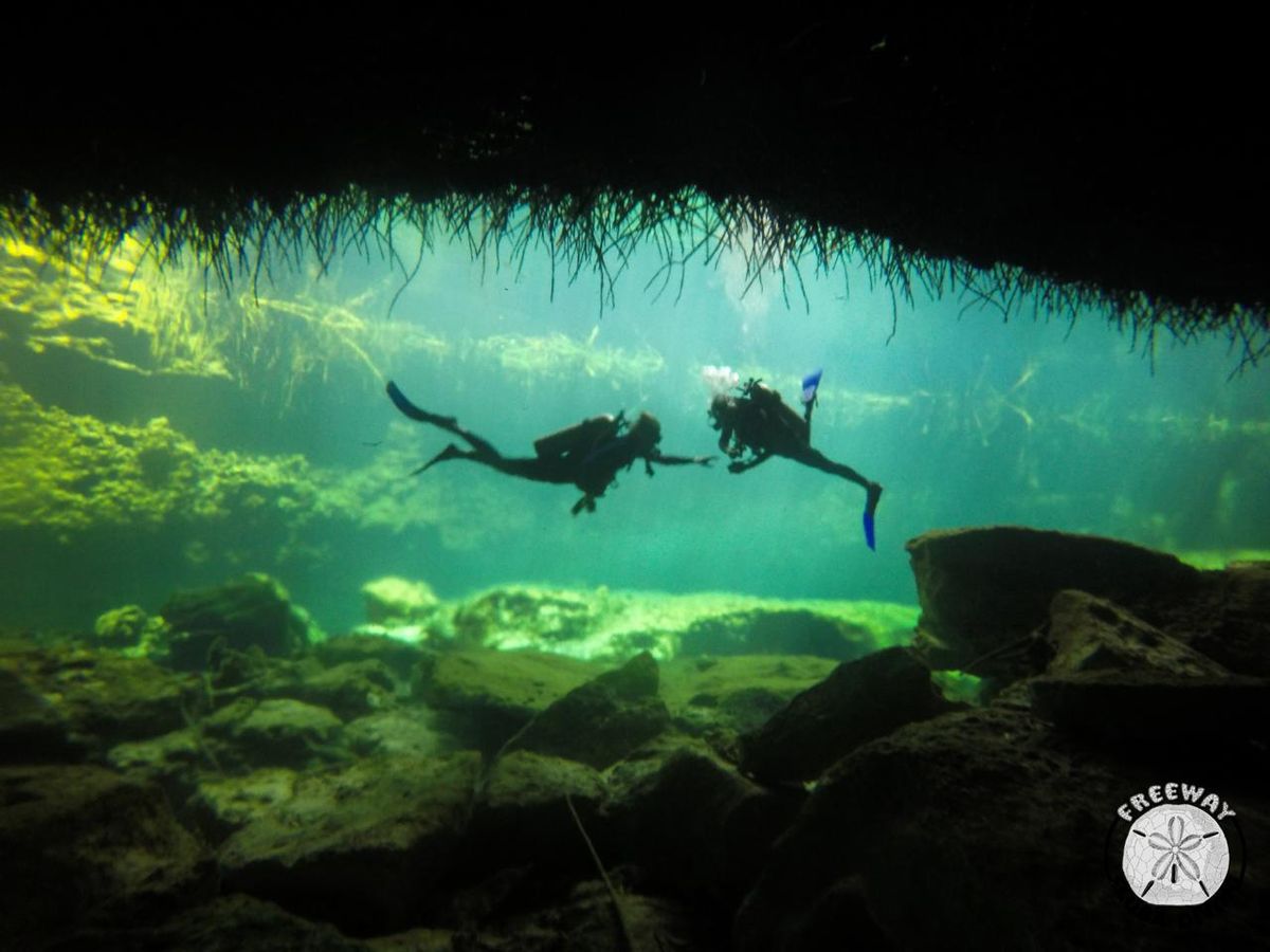 Tour de Buceo Casa Cenote & Cenote Naval