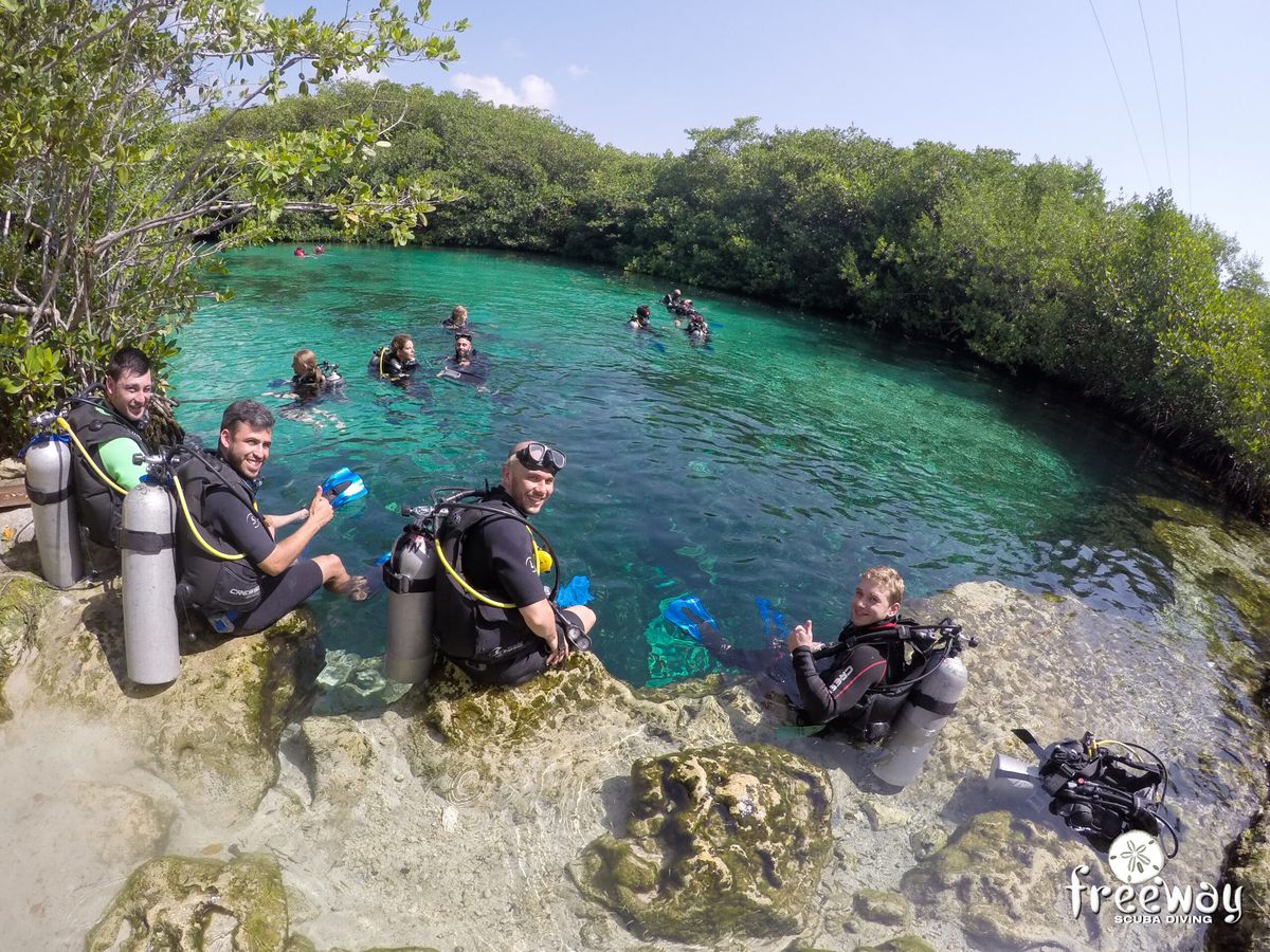 Tour de Snorkel en 3 Cenotes