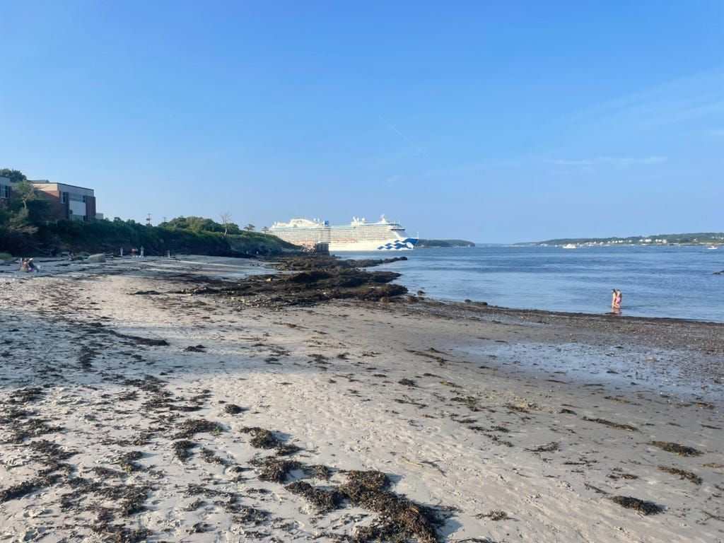 Seaweed-covered beach at low tide with a cruise ship docked in the harbor beyond