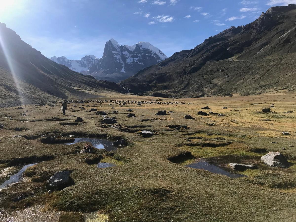 Looking back at a snow capped peak through a valley of rocks and grass