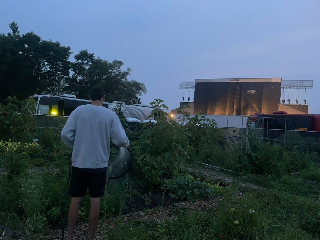 Man watering a community garden plot at dusk, with a lit outdoor concert stage beyond the trees