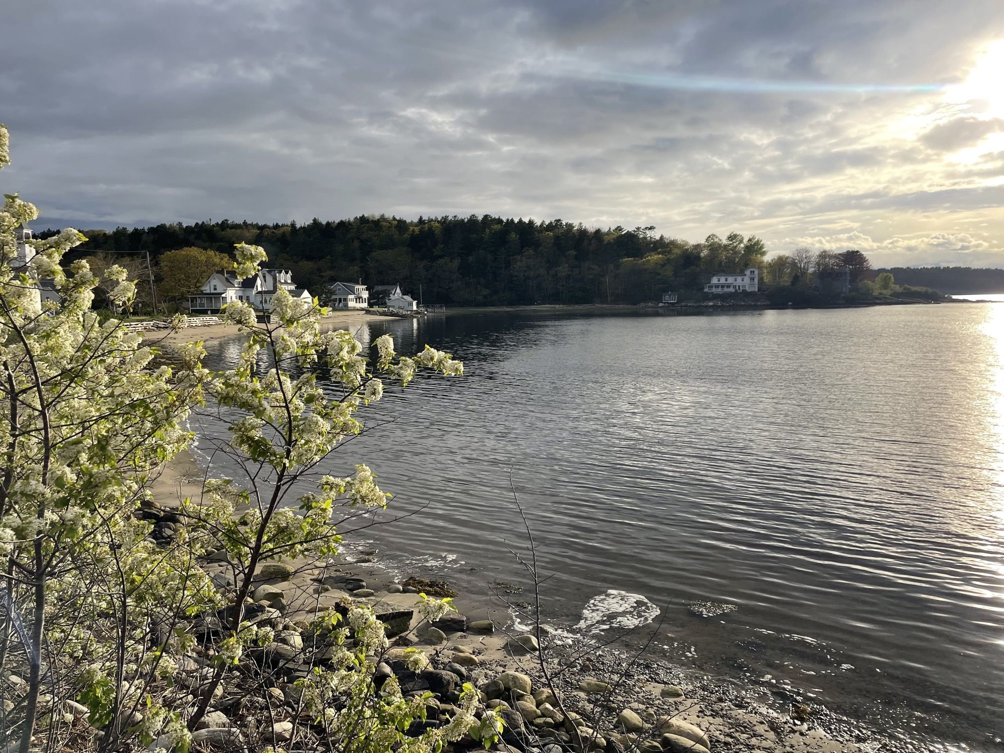 Calm harbor water lined with trees and rocks under a cloudy sky