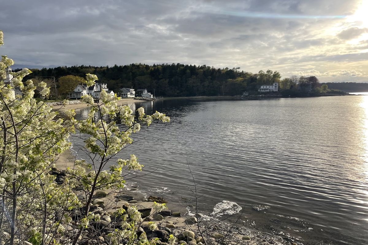 Calm harbor water lined with trees and rocks under a cloudy sky