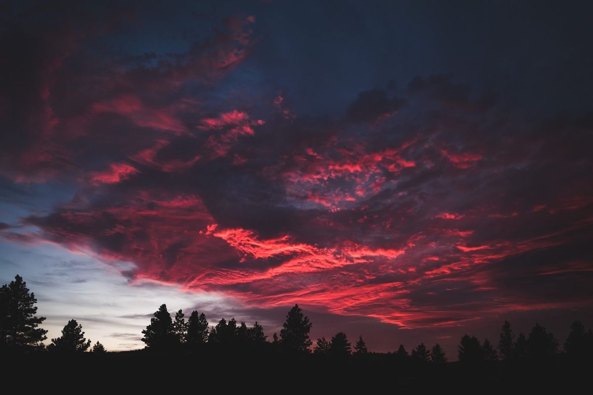 Dramatic red and purple clouds over a silhouetted tree line