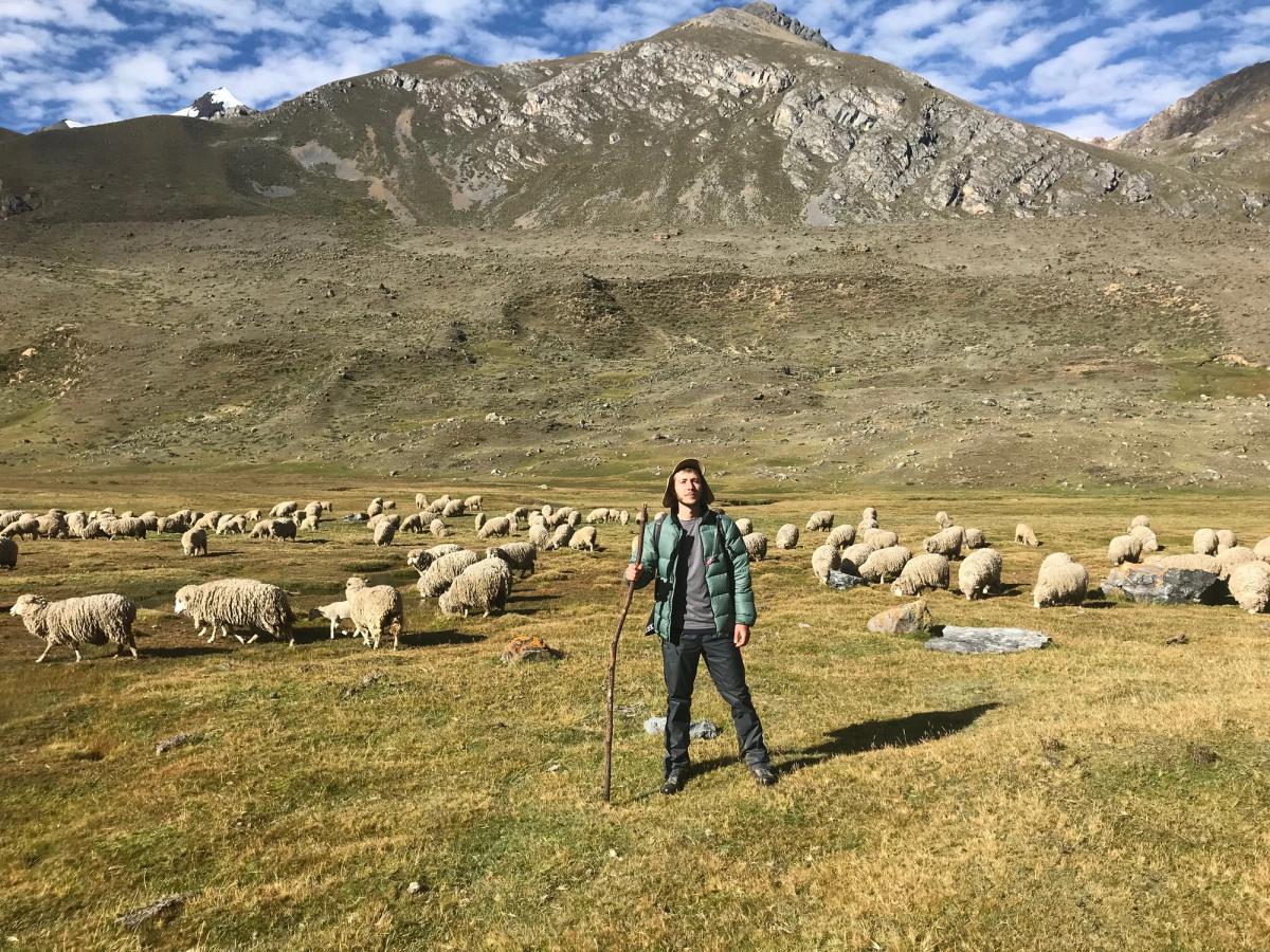 jack posing in a valley with sheep in the background