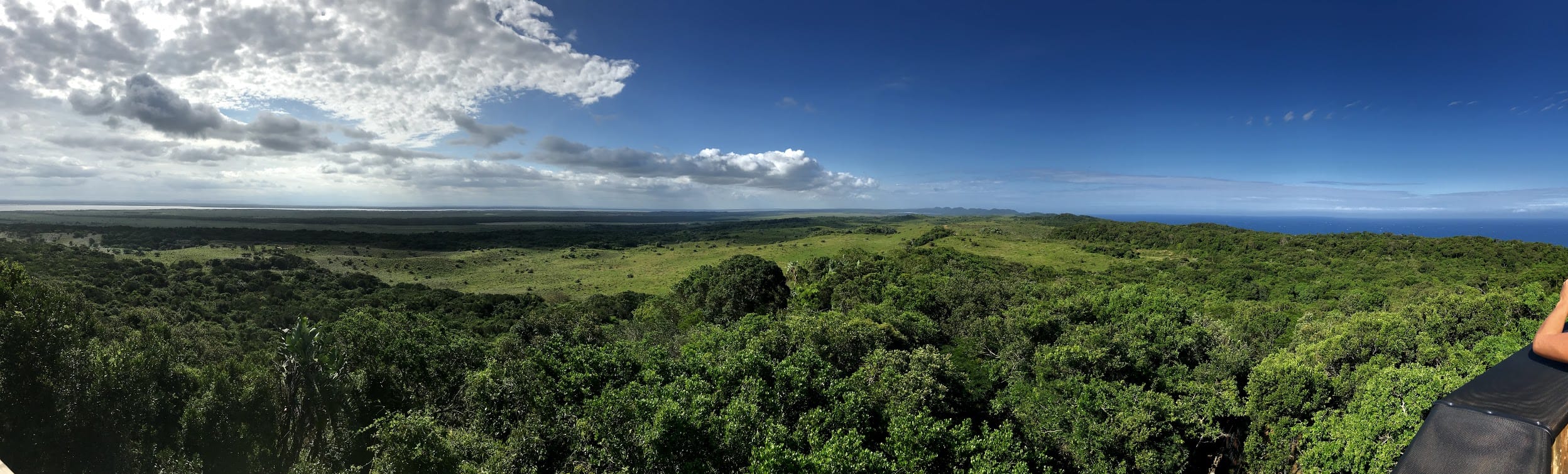 Panoramic view over a vast green forest canopy under a big sky