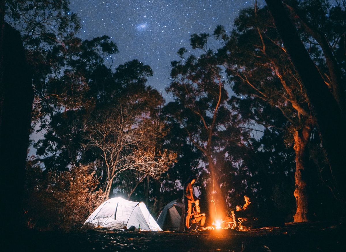 Tent lit by a campfire under a starry night sky in the forest