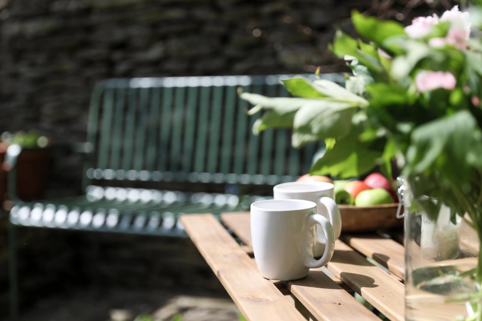 Garden with wooden bench, potted plants, and green foliage