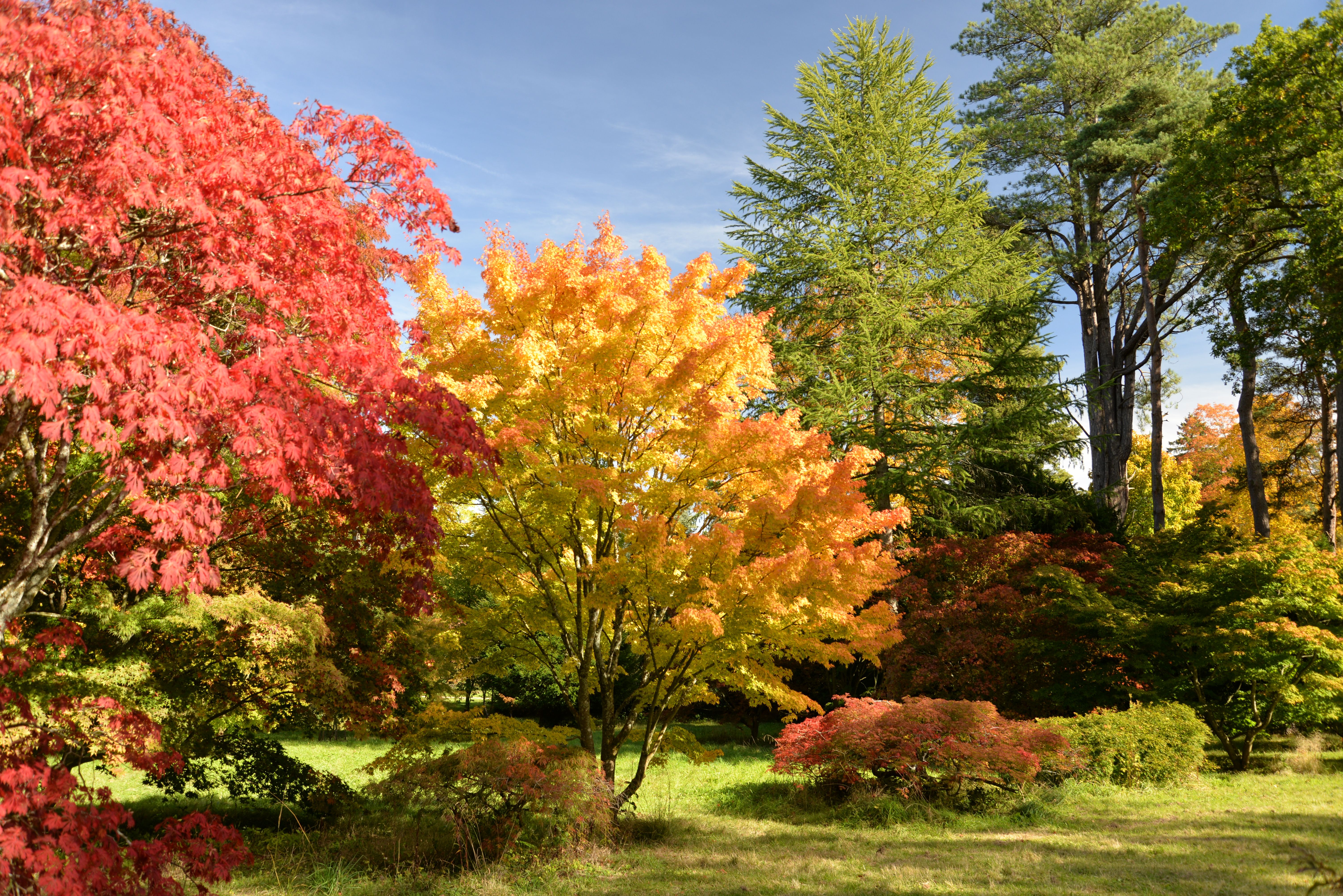 Batsford 