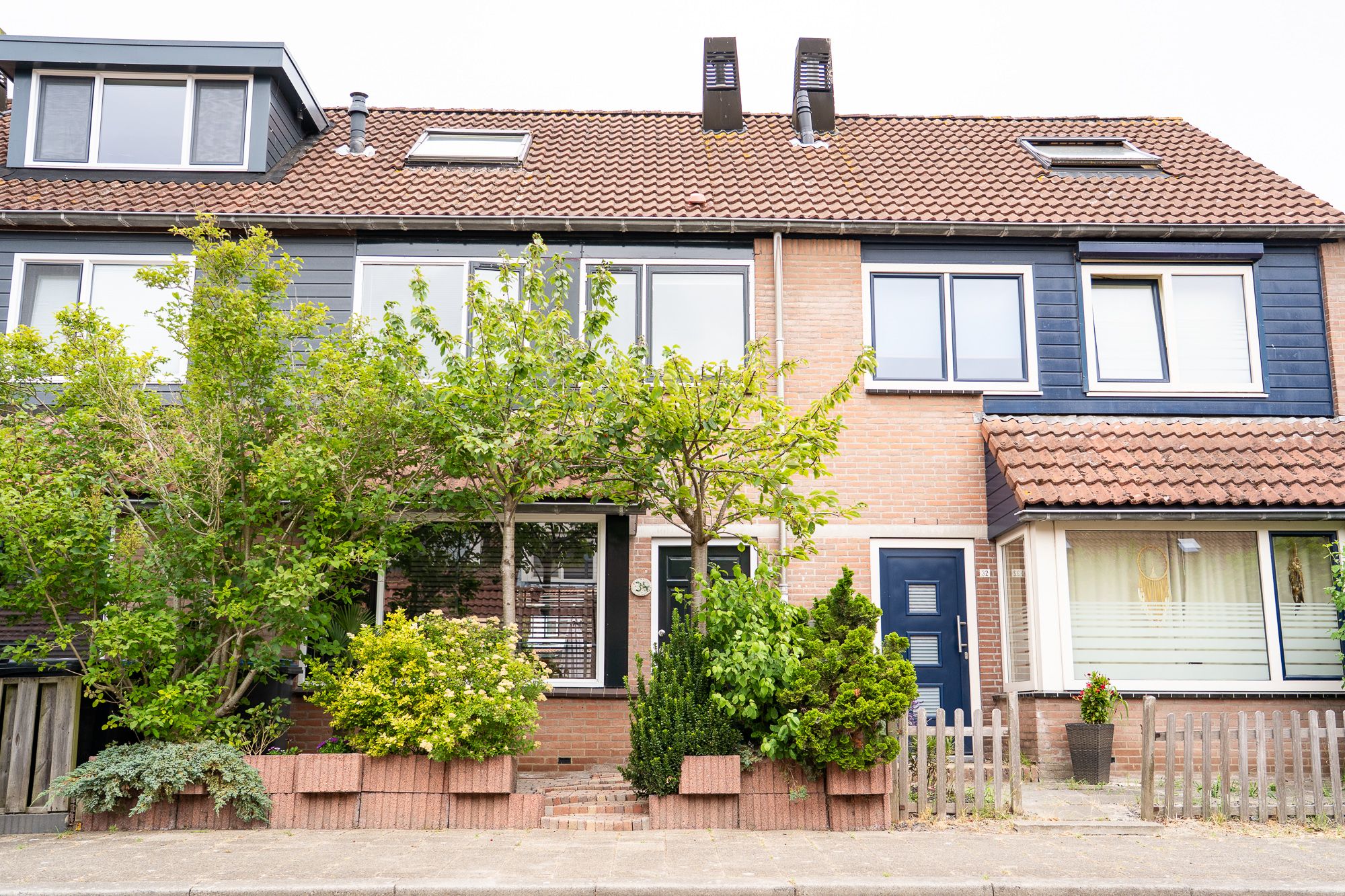 Mossel 34 Hellevoetsluis