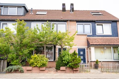 Mossel 34 Hellevoetsluis