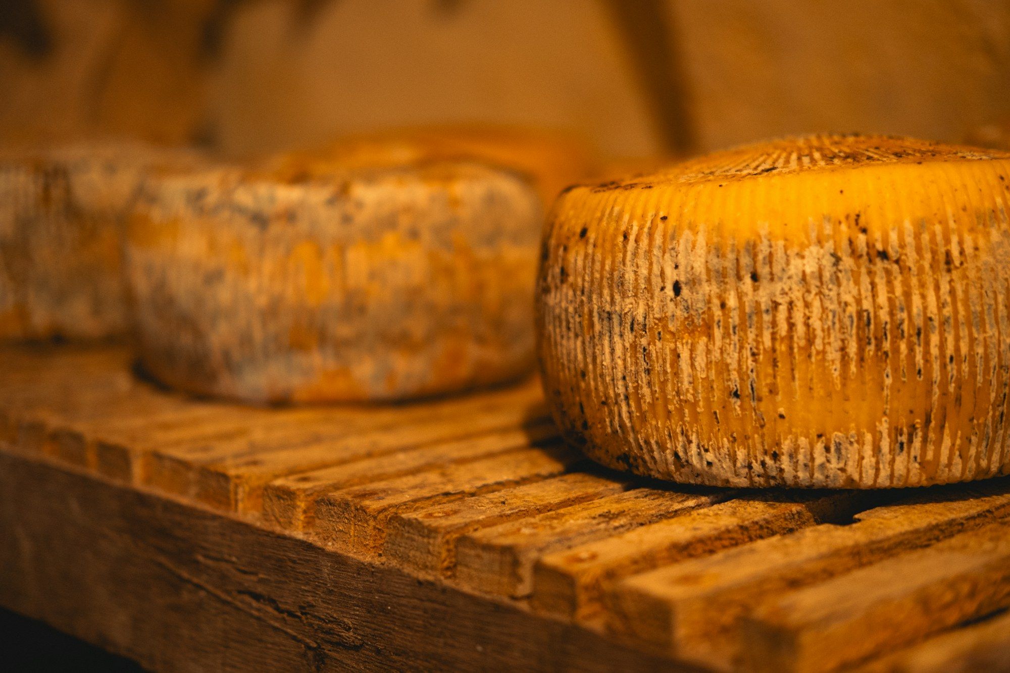 Highland cheese, Mirdita