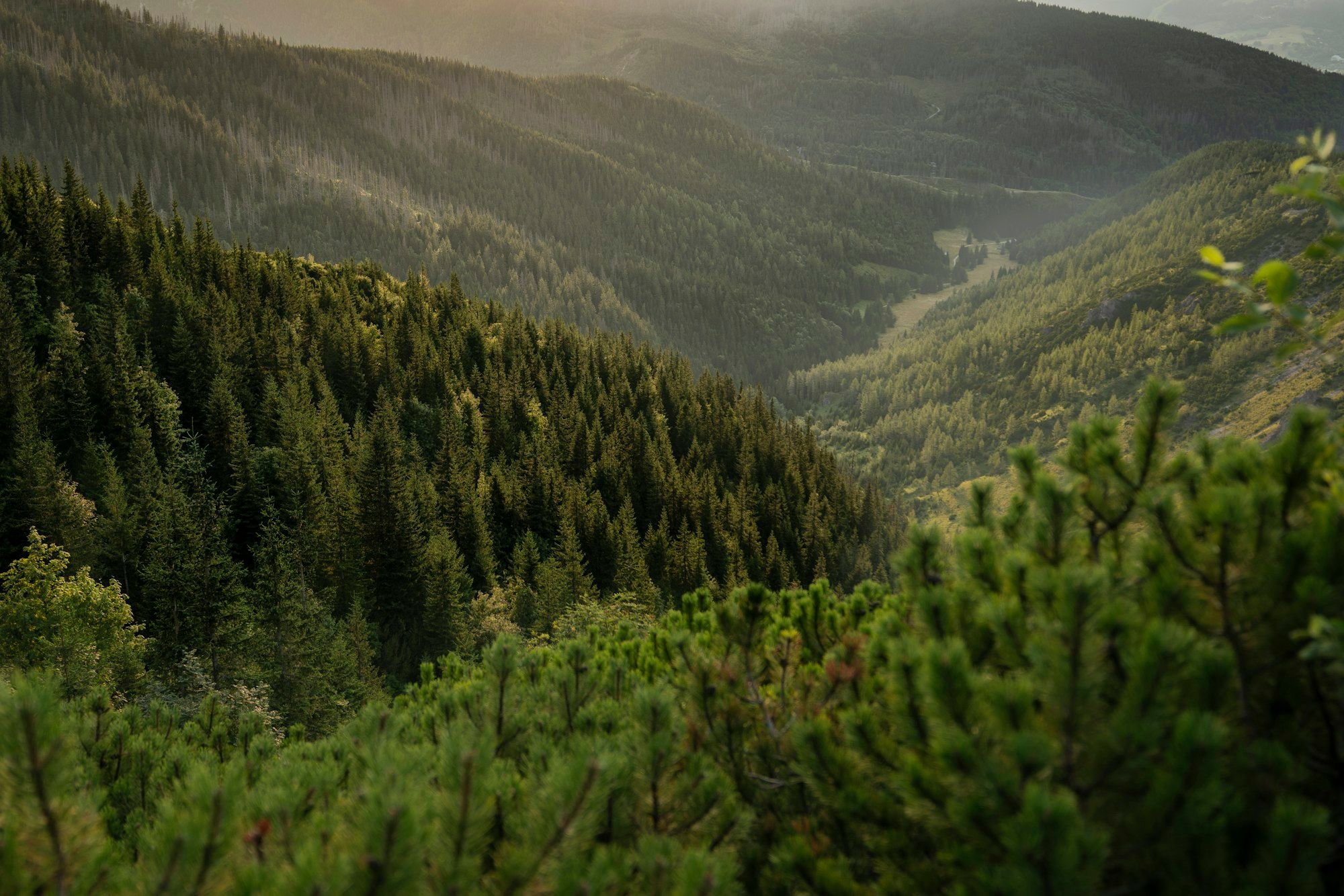 Mirdita ridges