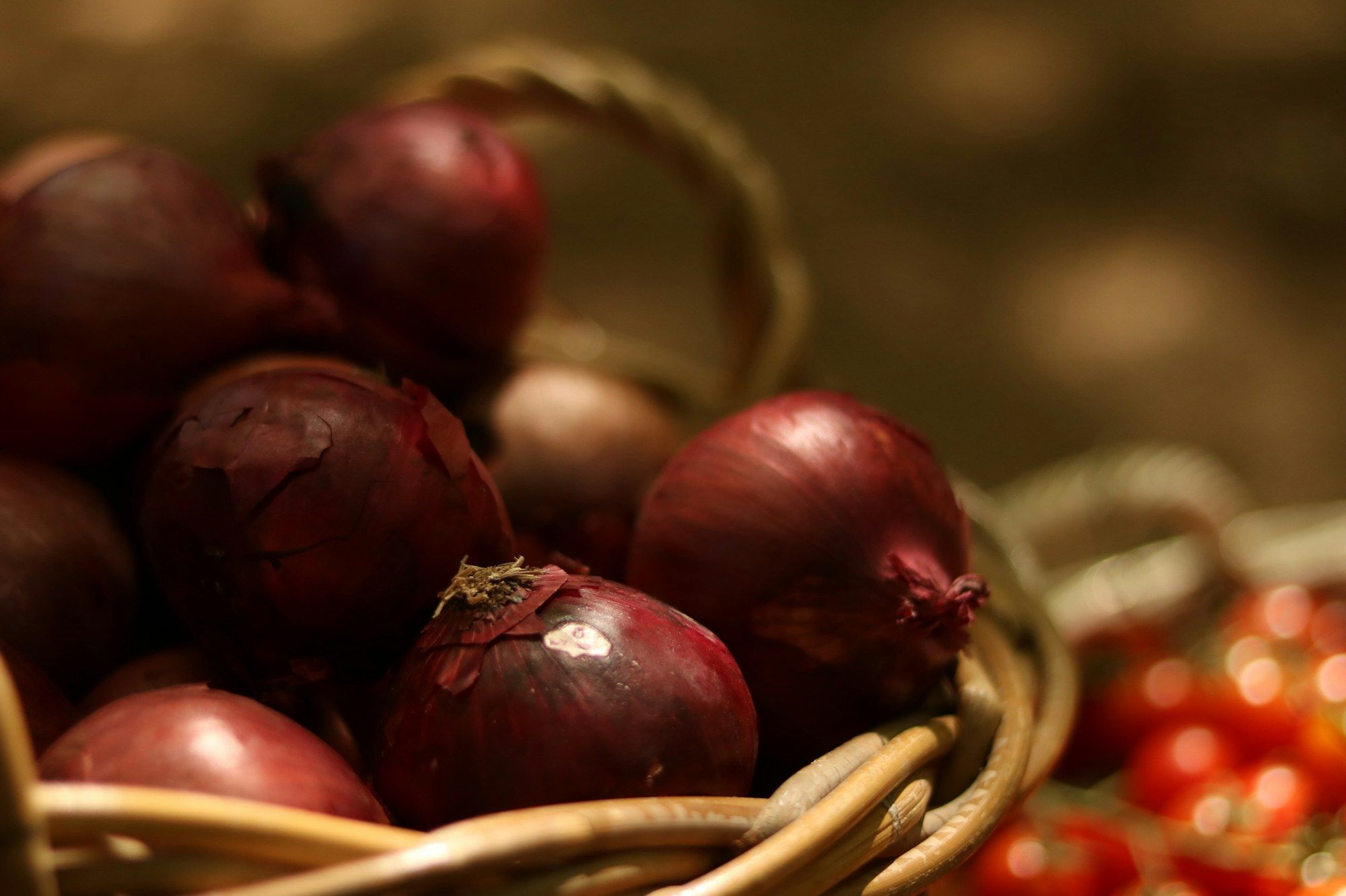 Seven things to eat in Lezhë before you leave