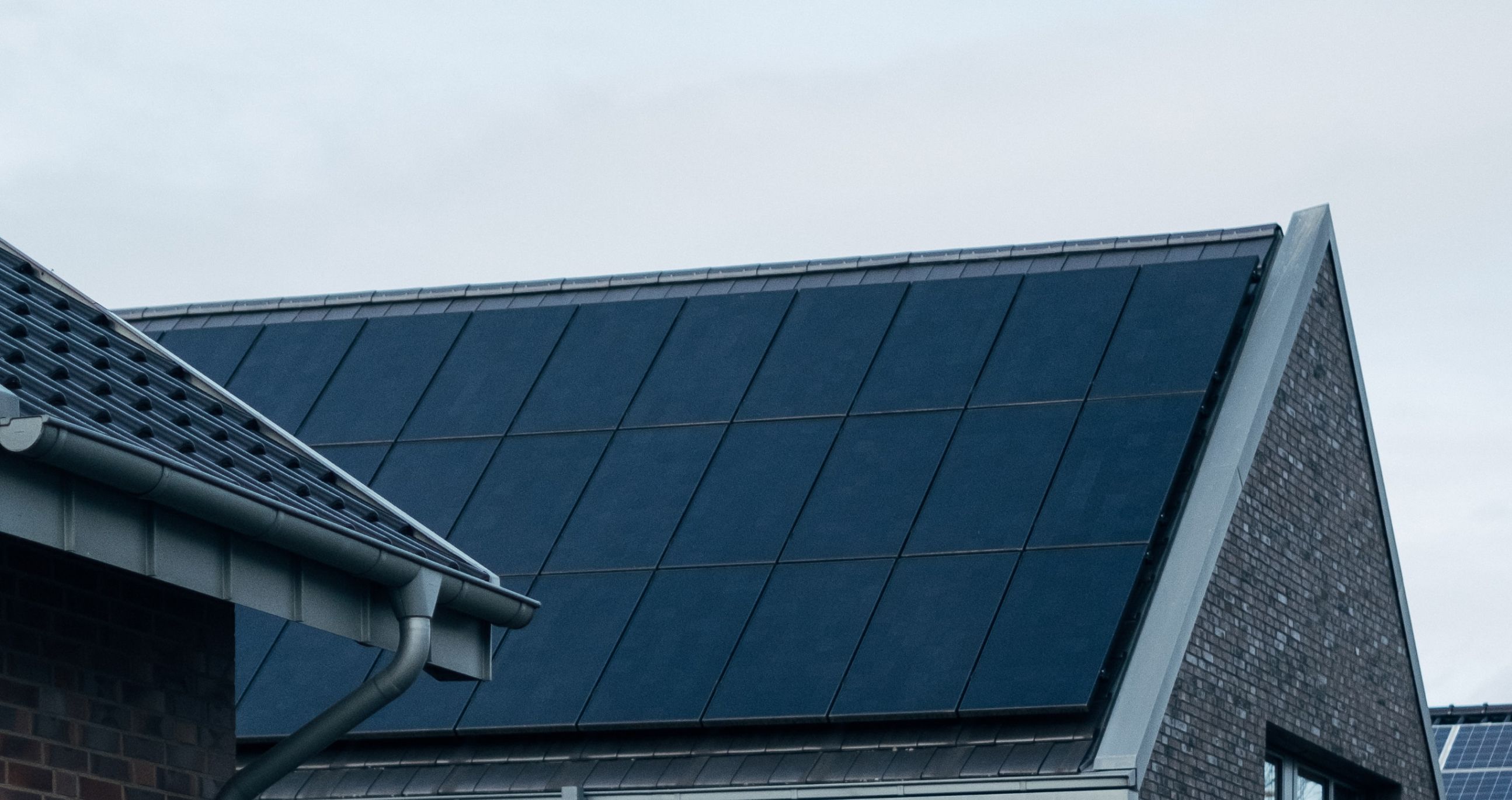 solify gallery image