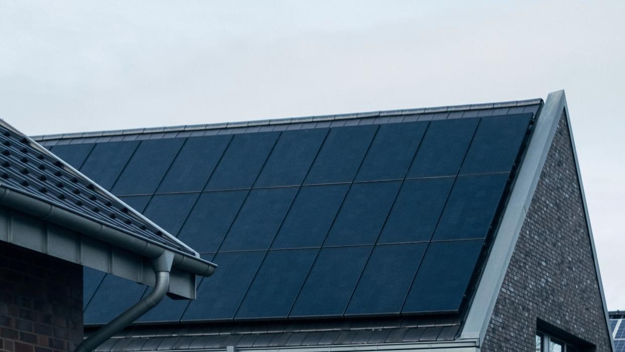 solify gallery image