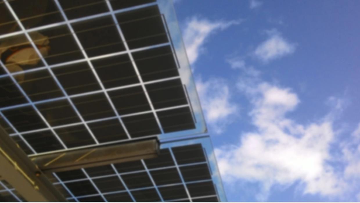 solify gallery image