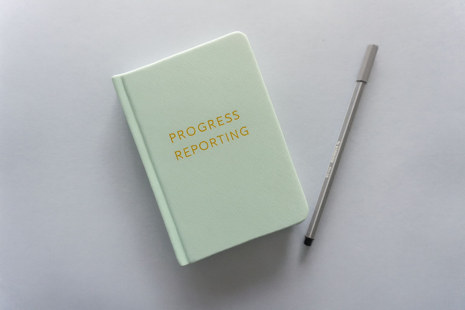 Book cover titled “WIARA’s Agile Progress Reports: Momentum, Blockers, and Decisions for Clear Project Tracking.” The cover features a clean, modern design with bold typography emphasizing clarity and efficiency, representing a practical guide for Agile teams and project managers