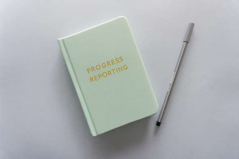 Book cover titled “WIARA’s Agile Progress Reports: Momentum, Blockers, and Decisions for Clear Project Tracking.” The cover features a clean, modern design with bold typography emphasizing clarity and efficiency, representing a practical guide for Agile teams and project managers
