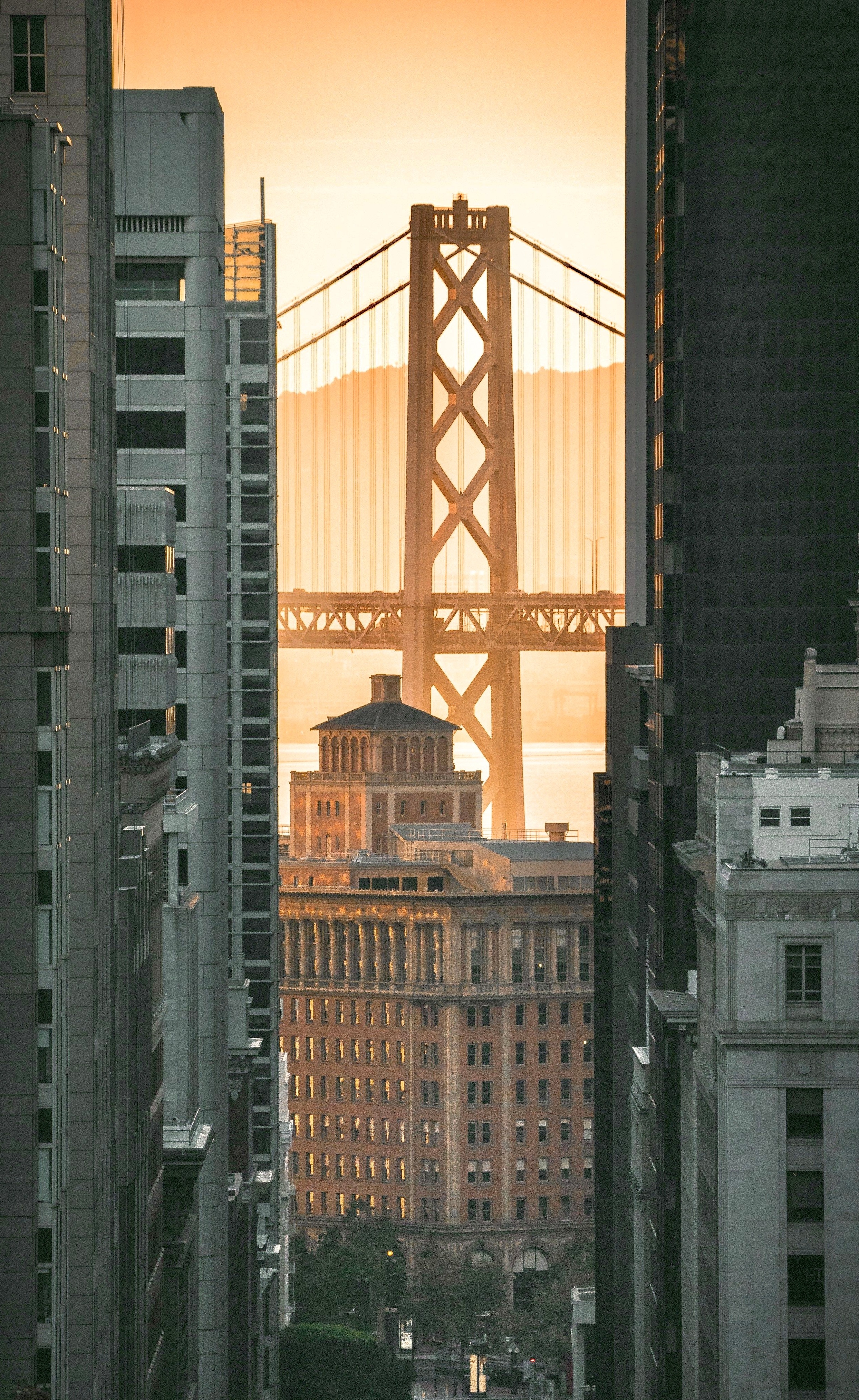 WIARA - Start Page Hero Image