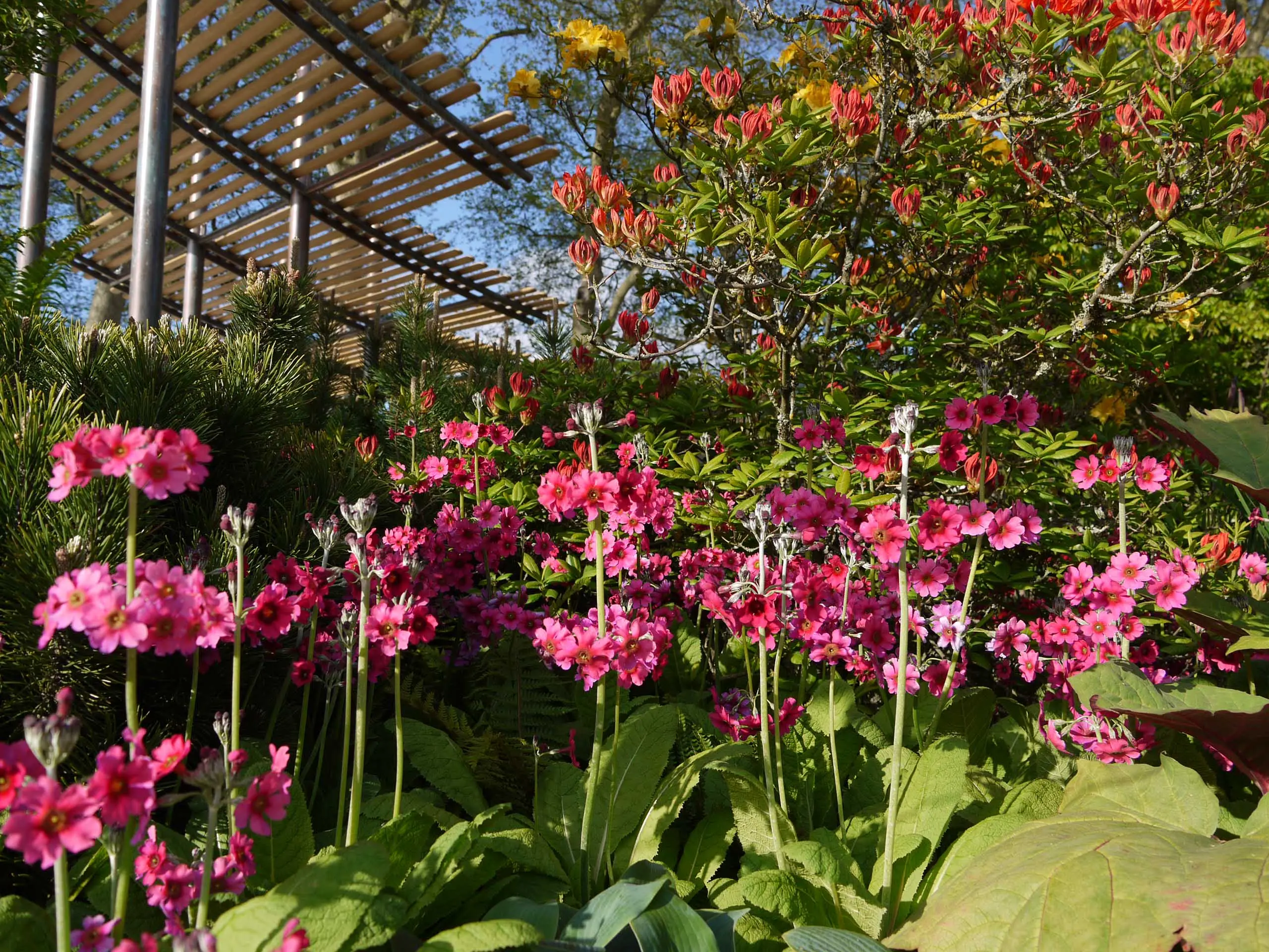 RHS Chelsea Flower Show, 2013