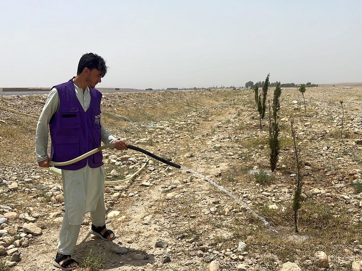 HRM Charity Aid Worker Planting and watering a tree in Afghanistan | Human Relief Mission