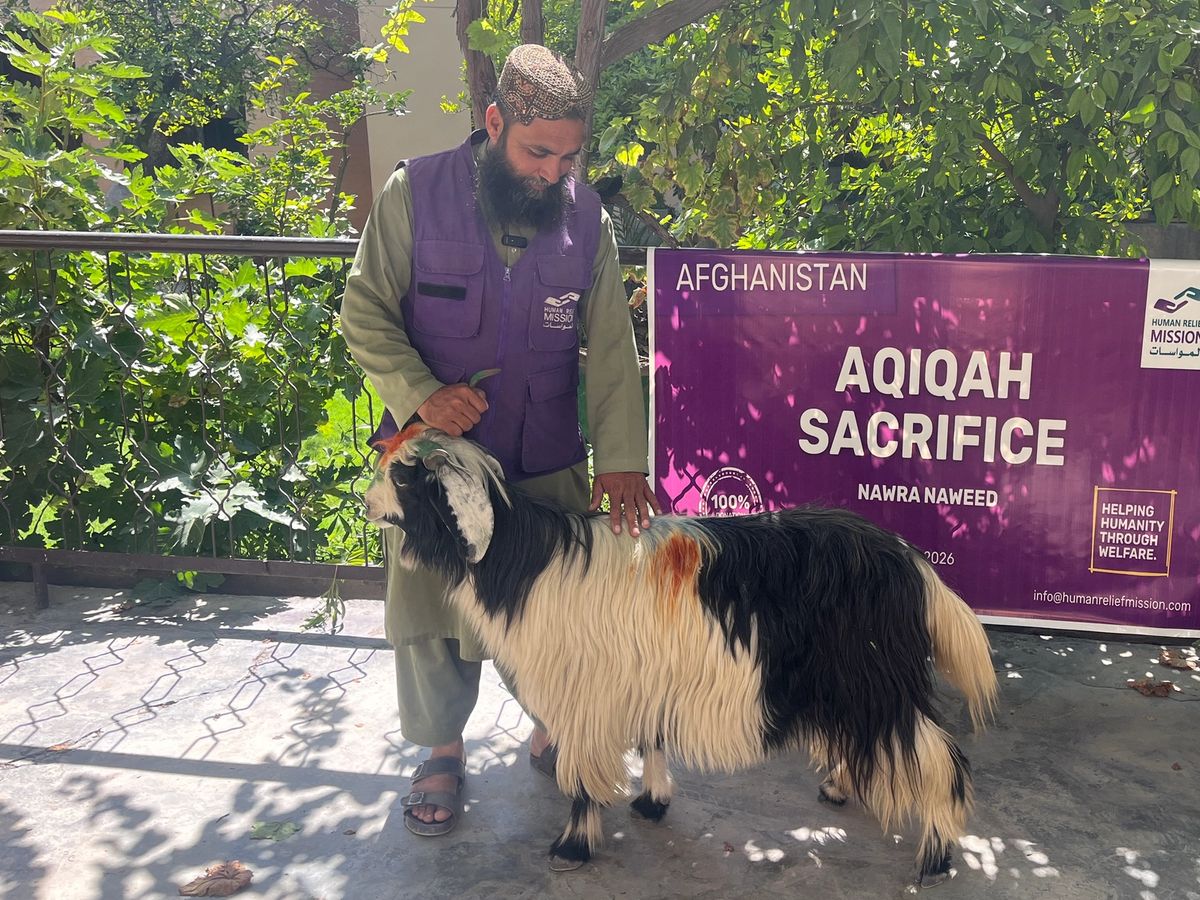 HRM Charity Aid Worker with sheep preparing for Aqiqah Sacrifice | Human Relief Mission