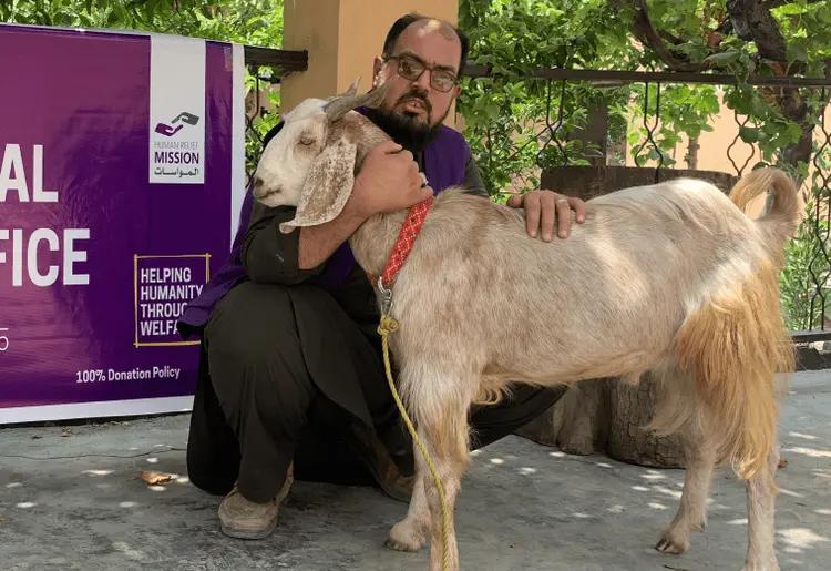 Animal Sacrifice