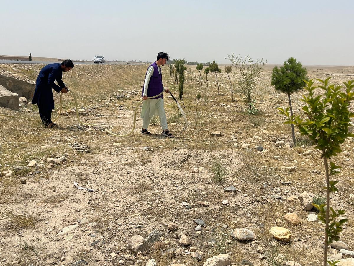 HRM Charity Aid Worker Planting and watering a tree in Afghanistan | Human Relief Mission