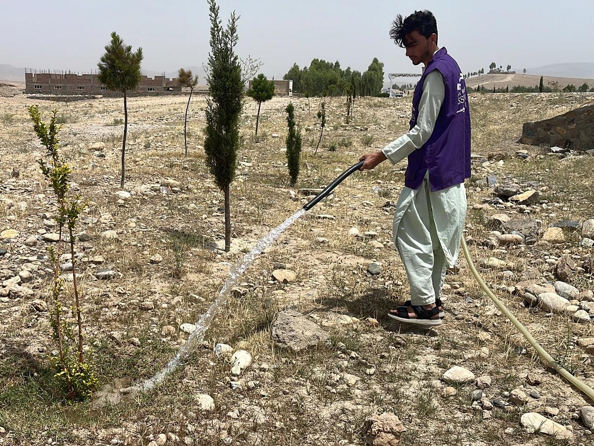 HRM Charity Aid Worker Planting and watering a tree in Afghanistan | Human Relief Mission