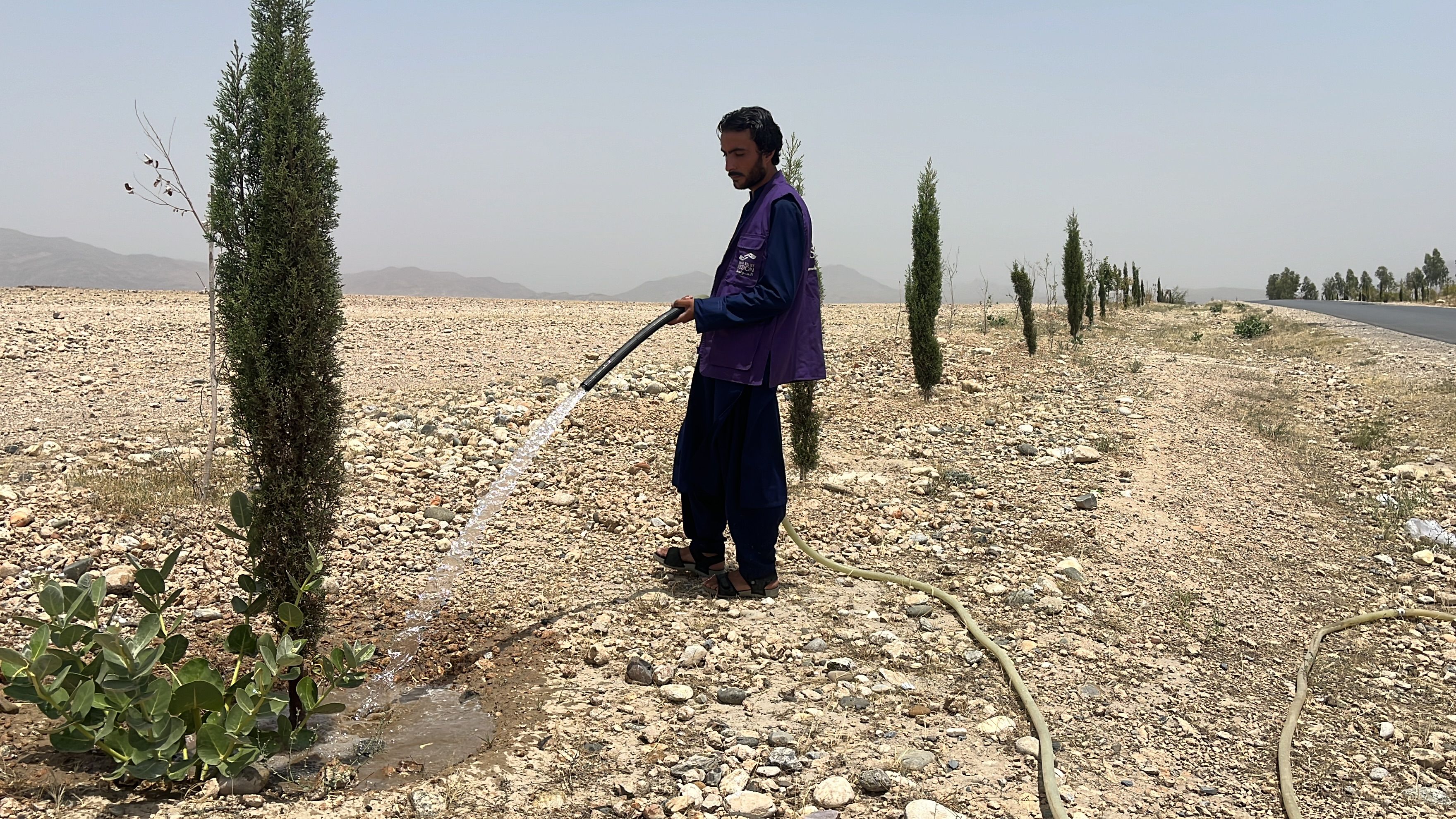 Green Afghanistan