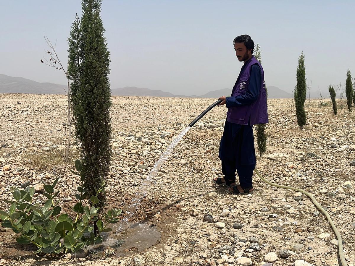 HRM Charity Aid Worker Planting and watering a tree in Afghanistan | Human Relief Mission