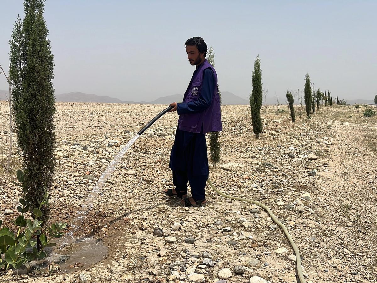 HRM Charity Aid Worker Planting and watering a tree in Afghanistan | Human Relief Mission