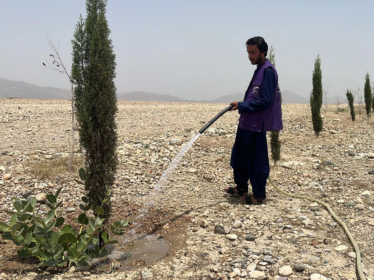 HRM Charity Aid Worker Planting and watering a tree in Afghanistan | Human Relief Mission