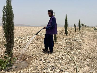 Green Afghanistan