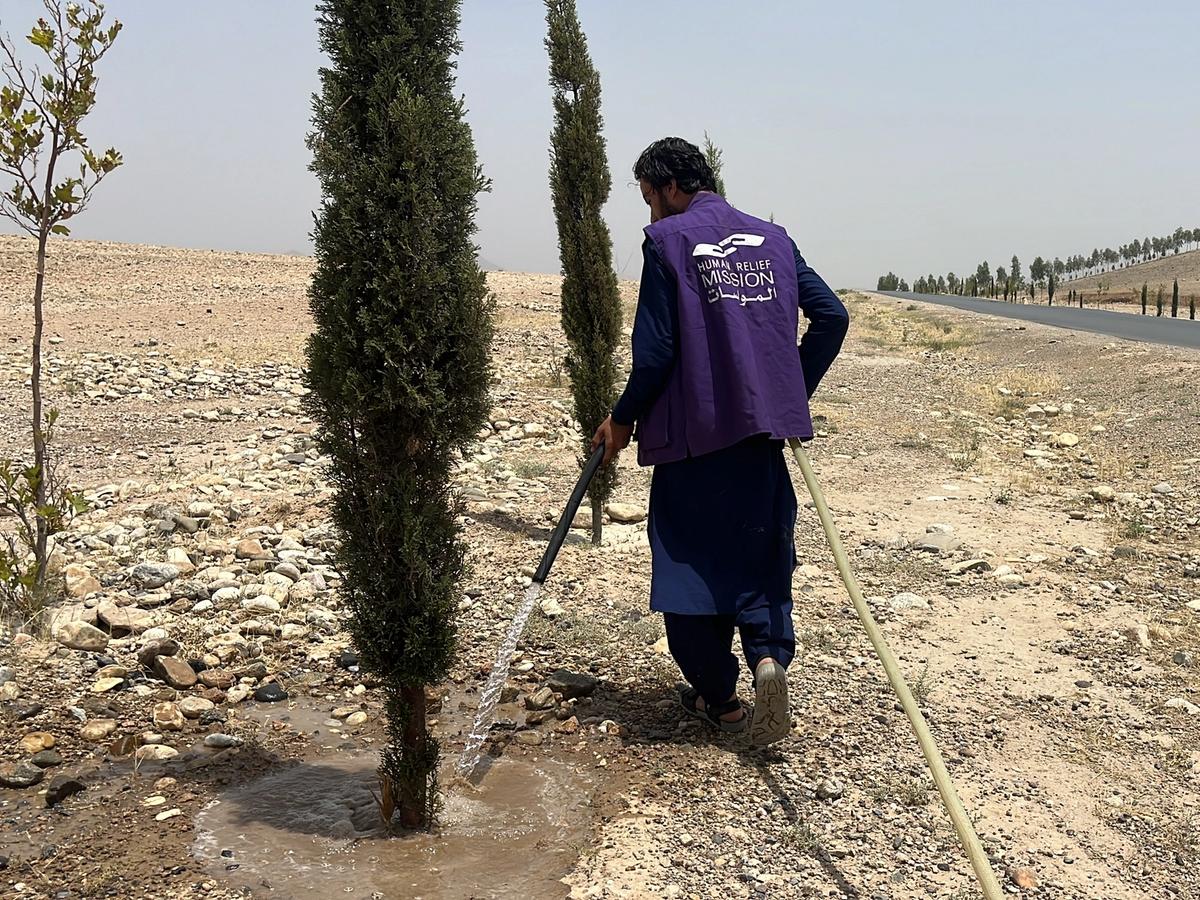 Back Shot of HRM Charity Aid Worker Planting and watering a tree in Afghanistan | Human Relief Mission
