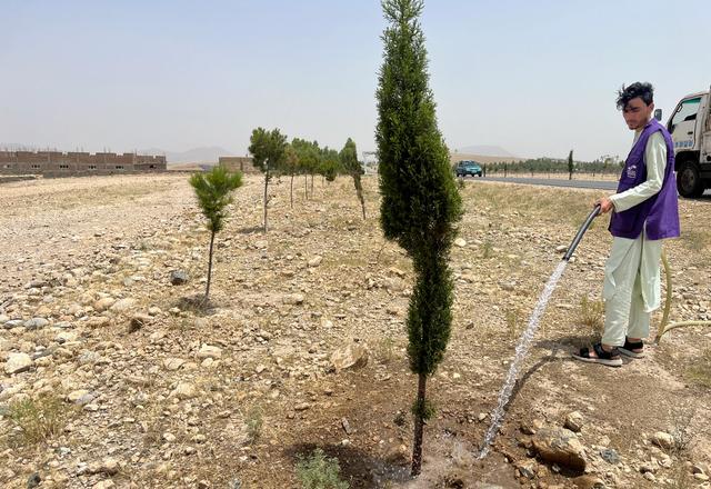 HRM Charity Aid Watering a Tree in Afghanistan | Human Relief Mission