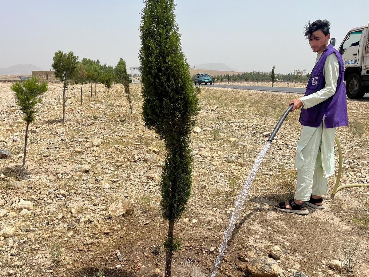 Close up of HRM Charity Aid Worker Planting and watering a tree in Afghanistan | Human Relief Mission