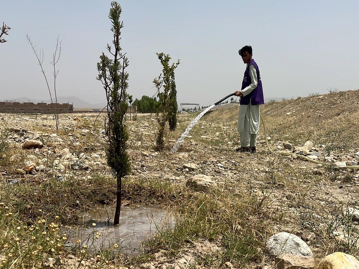 HRM Charity Aid Worker Planting and watering a tree in Afghanistan | Human Relief Mission