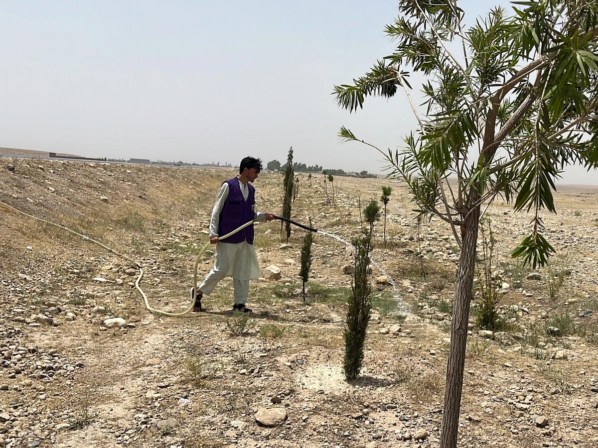 HRM Charity Aid Worker Planting and watering a tree in Afghanistan | Human Relief Mission