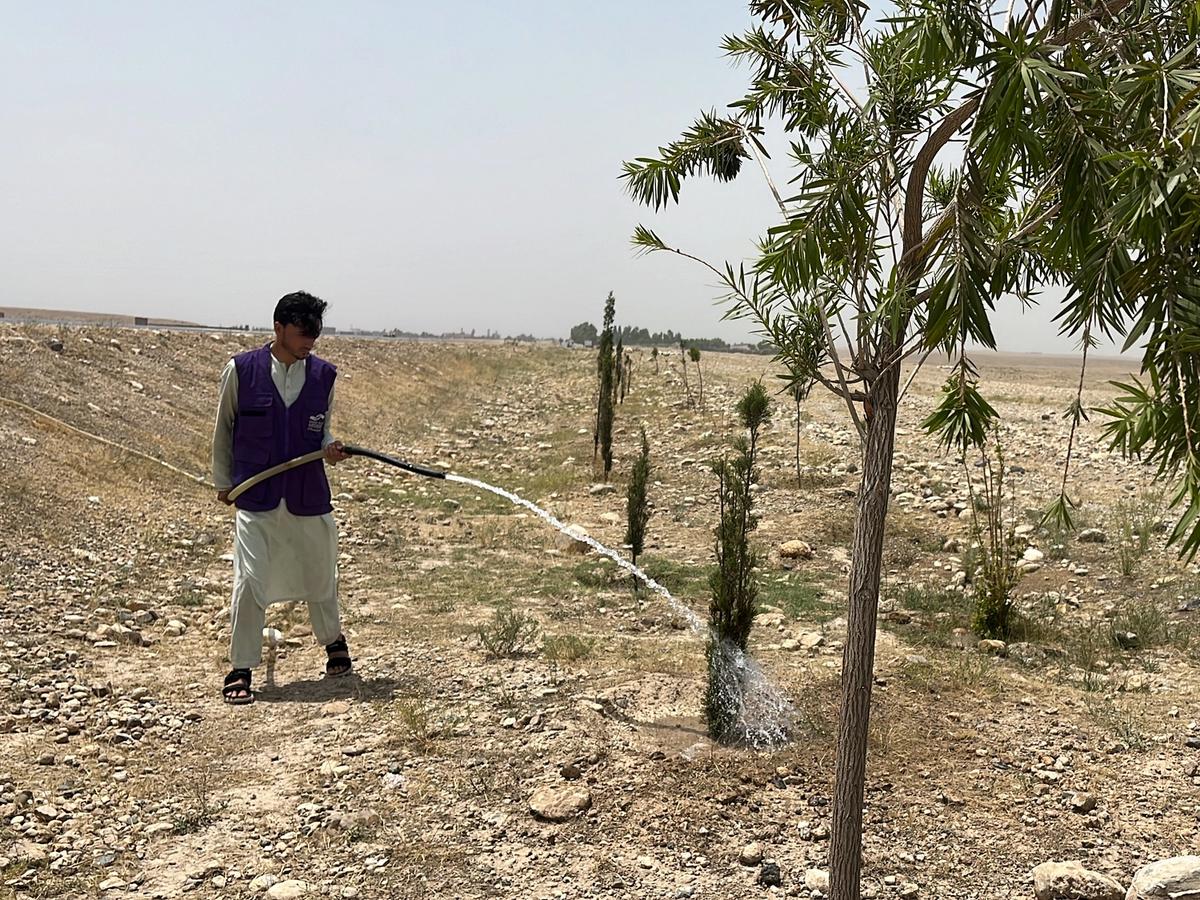 HRM Charity Aid Worker Planting and watering a tree in Afghanistan | Human Relief Mission