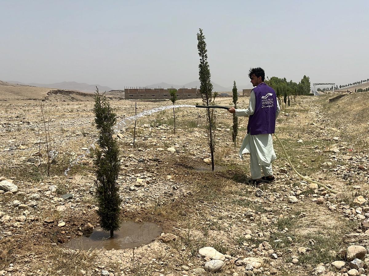 HRM Charity Aid Worker Planting and watering a tree in Afghanistan | Human Relief Mission