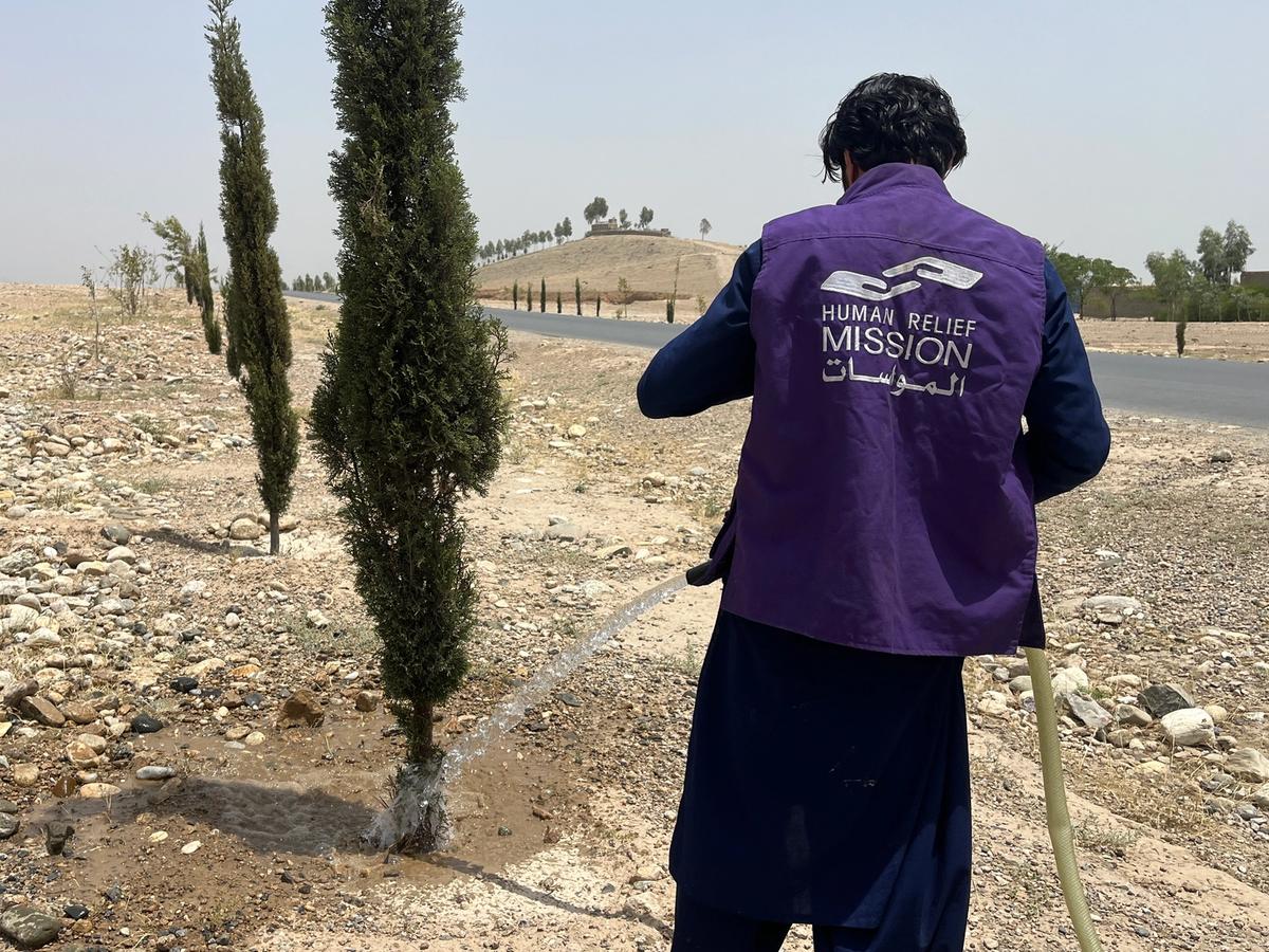Back Shot of HRM Charity Aid Worker Planting and watering a tree in Afghanistan | Human Relief Mission