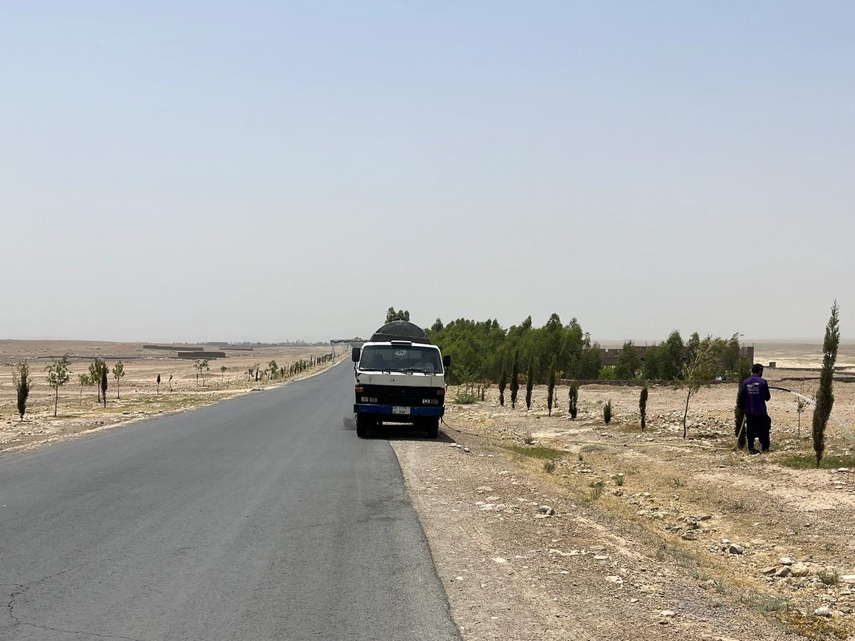 Truck with trees in Afghanistan | Human Relief Mission