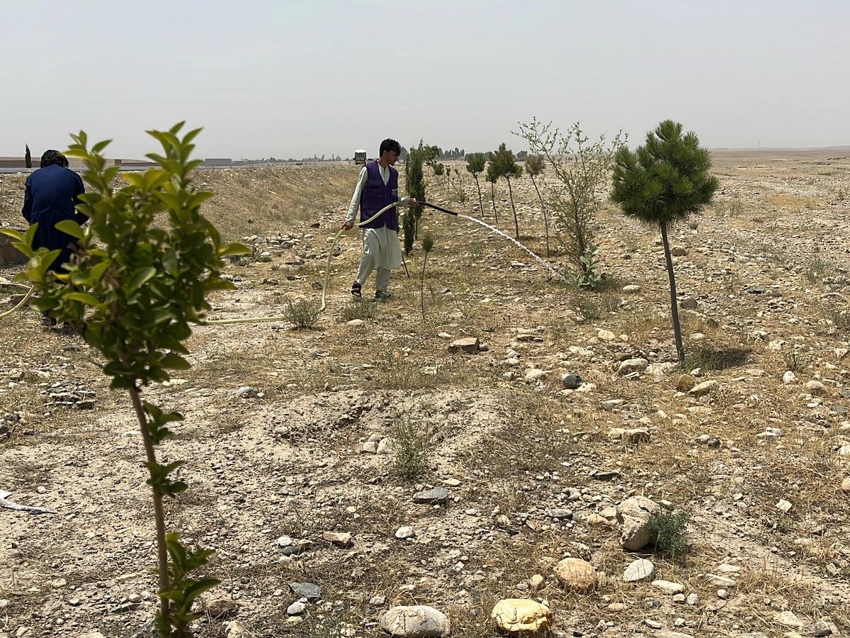 HRM Charity Aid Worker Planting and watering a tree in Afghanistan | Human Relief Mission